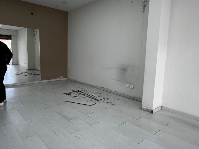 WhatsApp Image 2024-11-18 at 15.45.10_b595ea57
